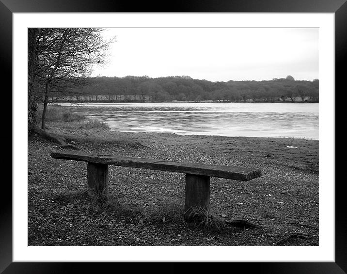 Bench Framed Mounted Print by kelly Draper