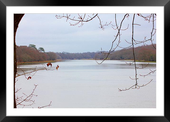 Hamble River Framed Mounted Print by kelly Draper