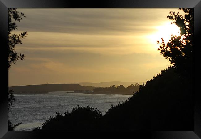 Golden Sunset Framed Print by kelly Draper