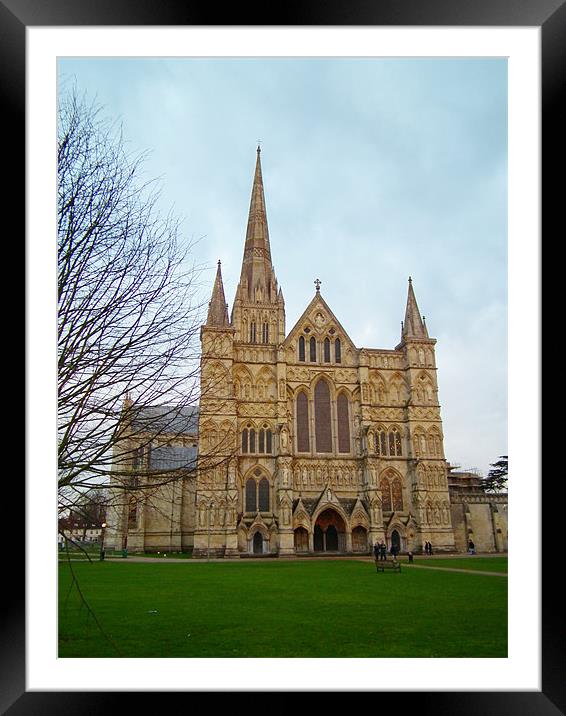 Sailsbury Cathedral Framed Mounted Print by kelly Draper