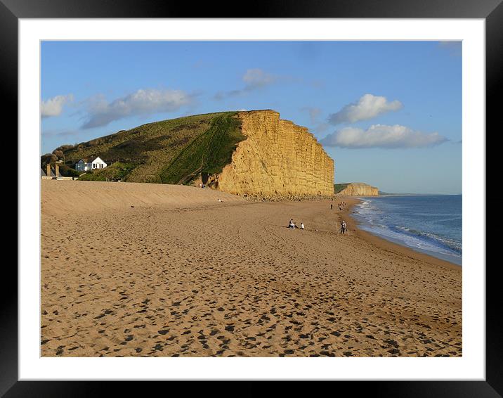 Sandstone Cliffs at West Bay Framed Mounted Print by Phil English