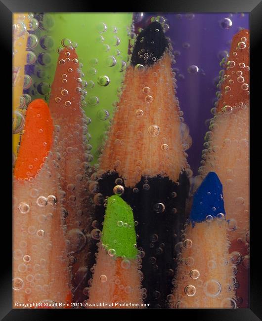 Fizzy Pencils Framed Print by Stuart Reid