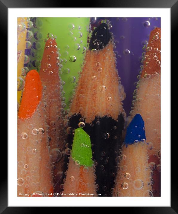 Fizzy Pencils Framed Mounted Print by Stuart Reid