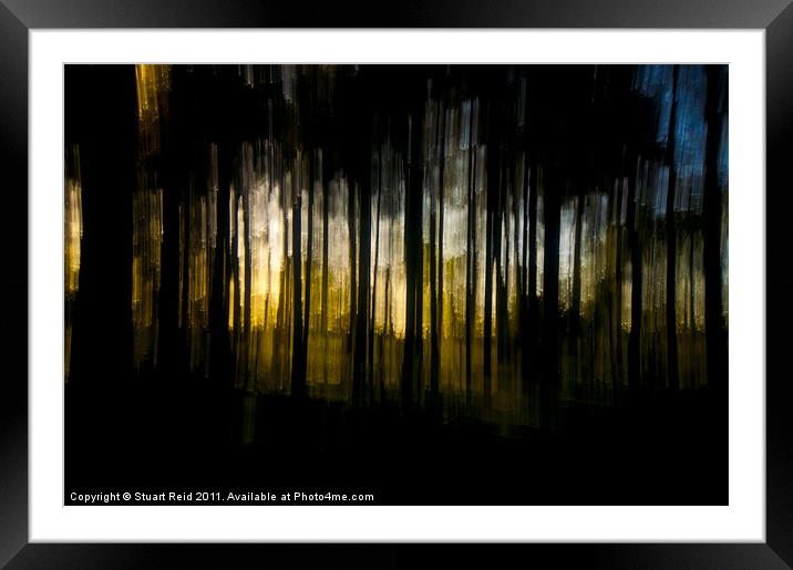 Tree Abstract (drop pan) Framed Mounted Print by Stuart Reid