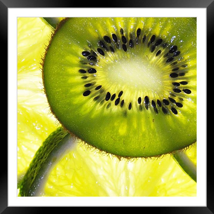 Kiwi and Slice Framed Mounted Print by Stuart Reid