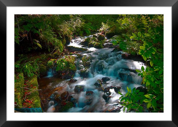 Serene Woodland Waterfall Framed Mounted Print by Stuart Jack