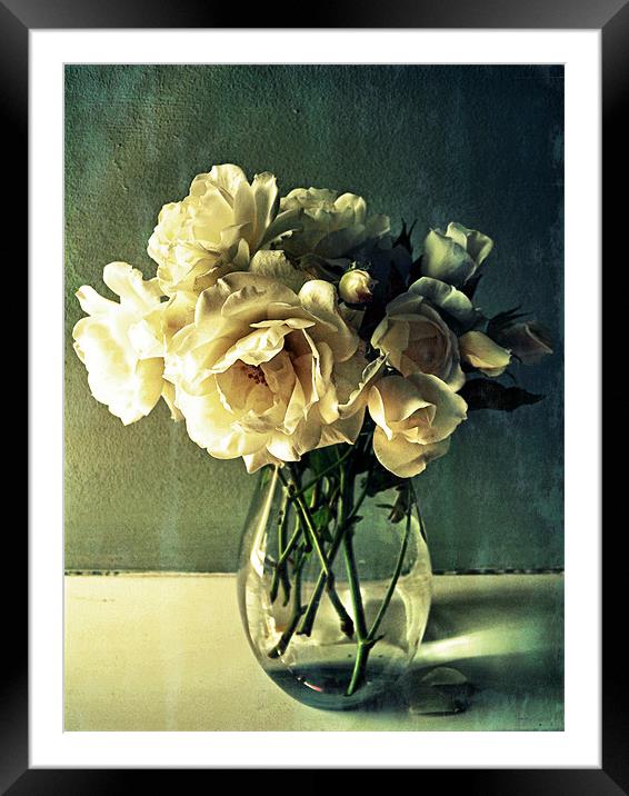 faded beauty Framed Mounted Print by Heather Newton