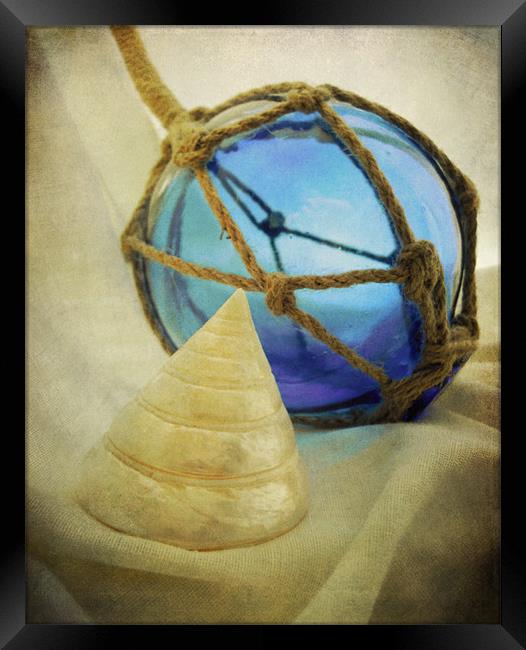 blue glass and seashell Framed Print by Heather Newton