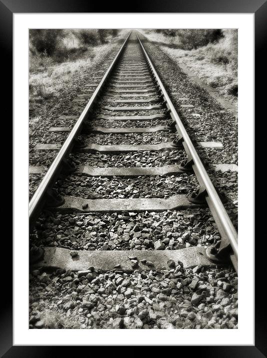 making tracks Framed Mounted Print by Heather Newton