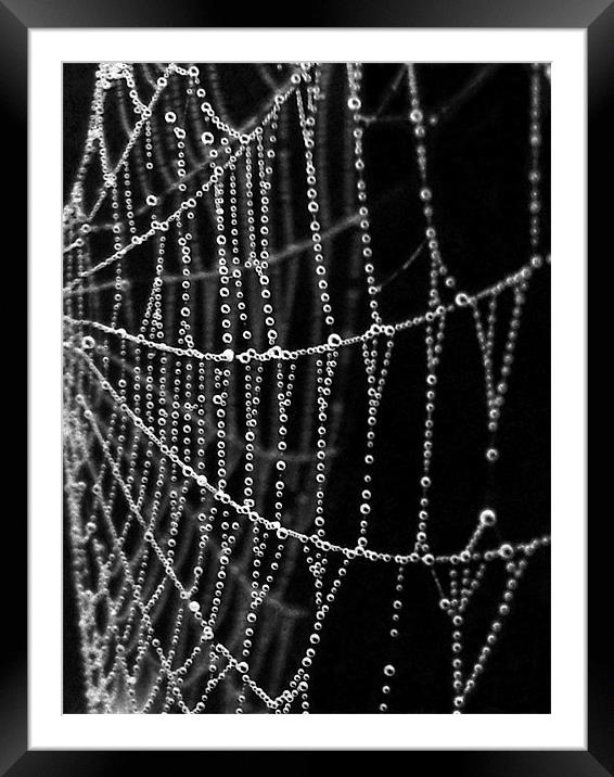 web of intrigue Framed Mounted Print by Heather Newton