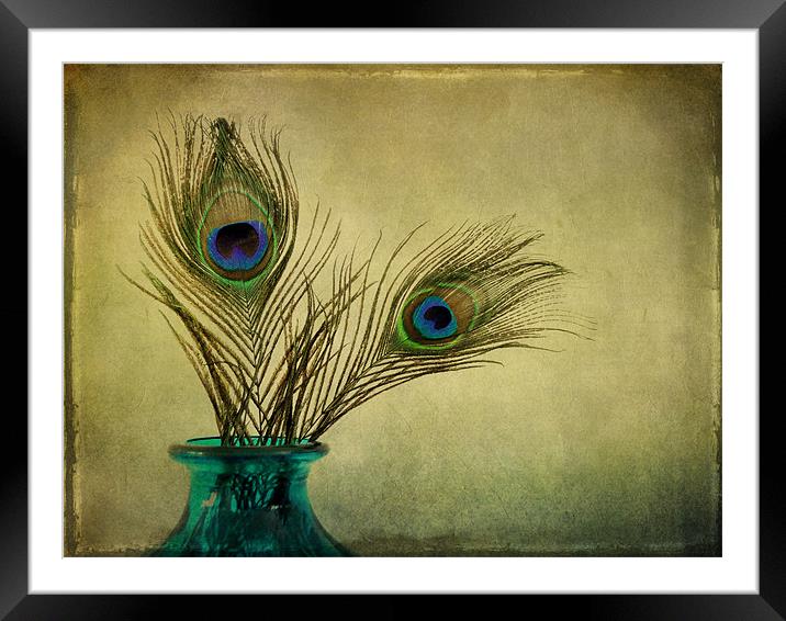 peacock feathers and vase Framed Mounted Print by Heather Newton
