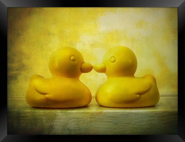 I love you ducky!! Framed Print by Heather Newton
