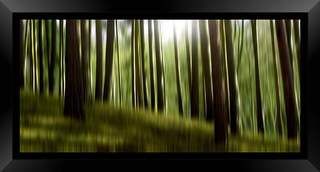 forest dreams (green) Framed Print by Heather Newton