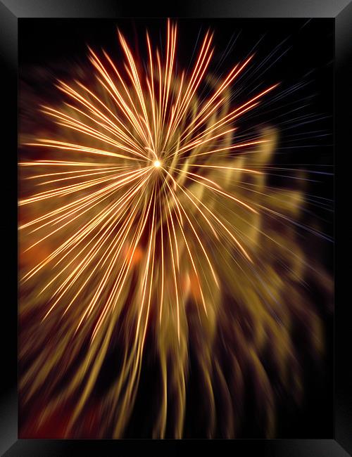 golden firework Framed Print by Heather Newton