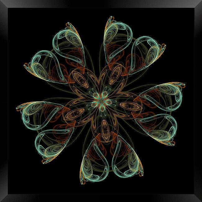 fractal star flower Framed Print by Heather Newton