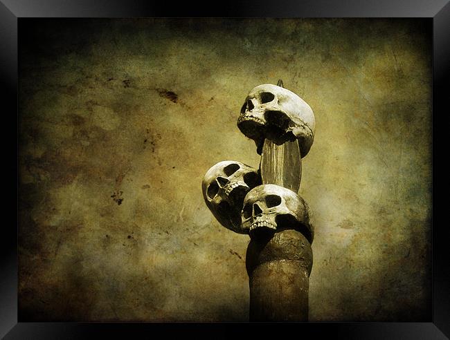 3 skulls Framed Print by Heather Newton