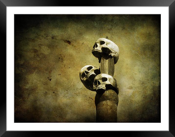 3 skulls Framed Mounted Print by Heather Newton