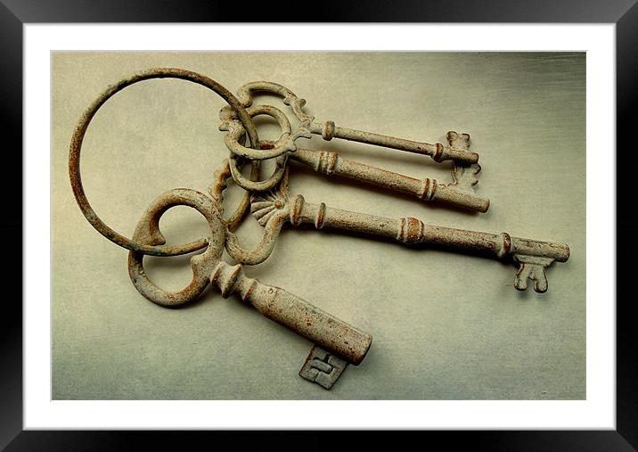 keys to the castle Framed Mounted Print by Heather Newton