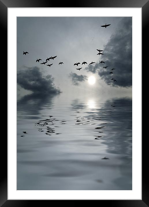 flying home Framed Mounted Print by Heather Newton