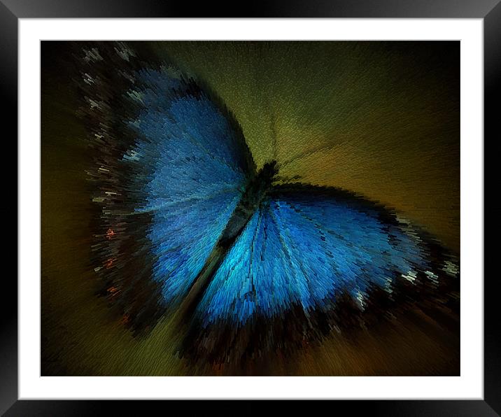 flash of blue Framed Mounted Print by Heather Newton