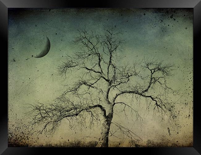 beneath a dark moon Framed Print by Heather Newton