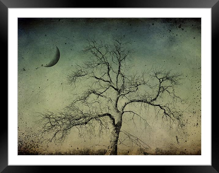 beneath a dark moon Framed Mounted Print by Heather Newton