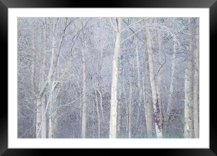 enchanted forest (blue) Framed Mounted Print by Heather Newton