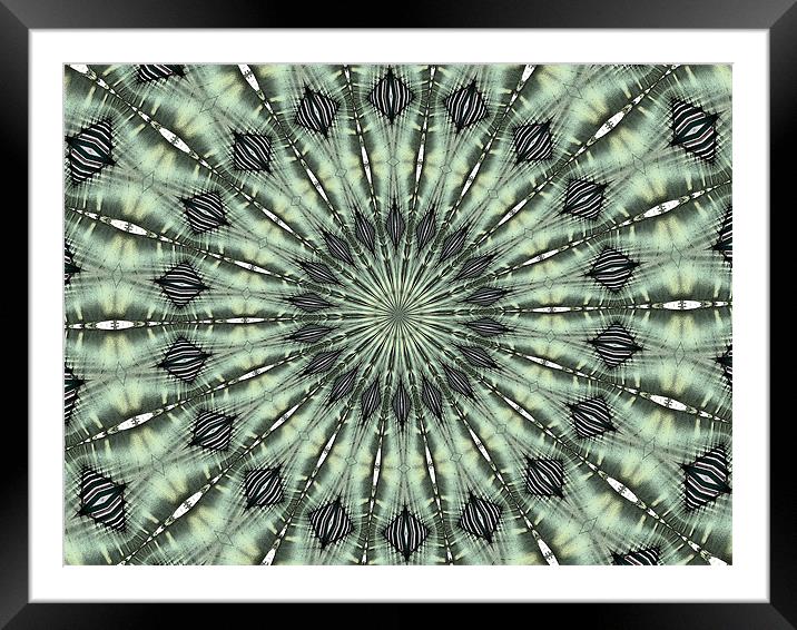 kaleidoscope complexity Framed Mounted Print by Heather Newton