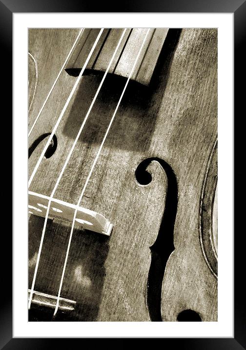 vintage violin Framed Mounted Print by Heather Newton