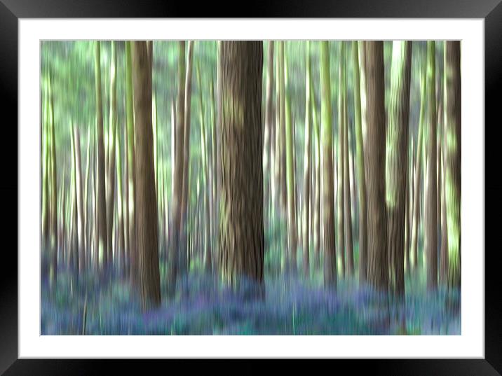 bluebell wood Framed Mounted Print by Heather Newton