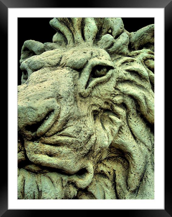 stone lion Framed Mounted Print by Heather Newton