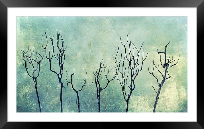 frozen Framed Mounted Print by Heather Newton