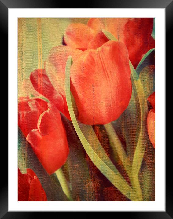 painted tulips Framed Mounted Print by Heather Newton