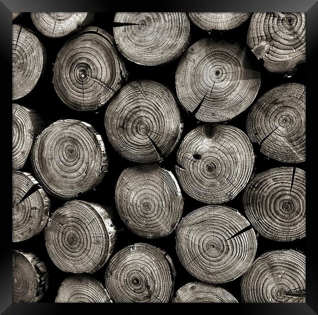 logs Framed Print by Heather Newton