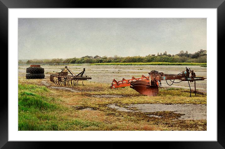 Wisley Airfield Framed Mounted Print by Heather Newton