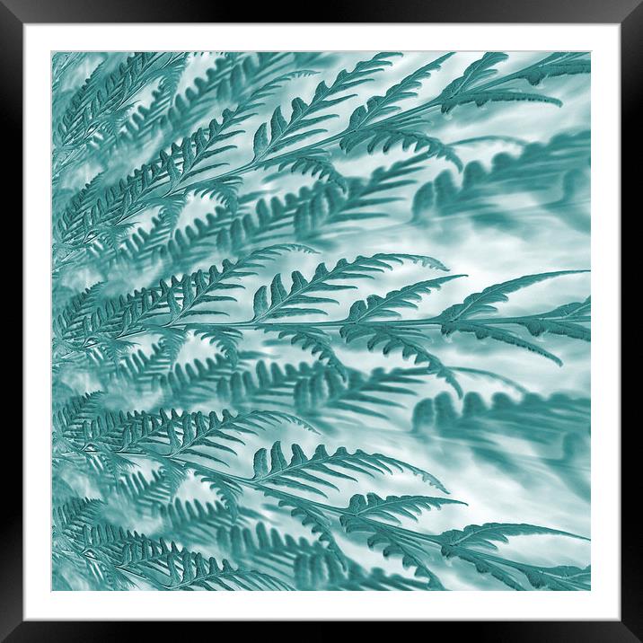 frosted fern Framed Mounted Print by Heather Newton