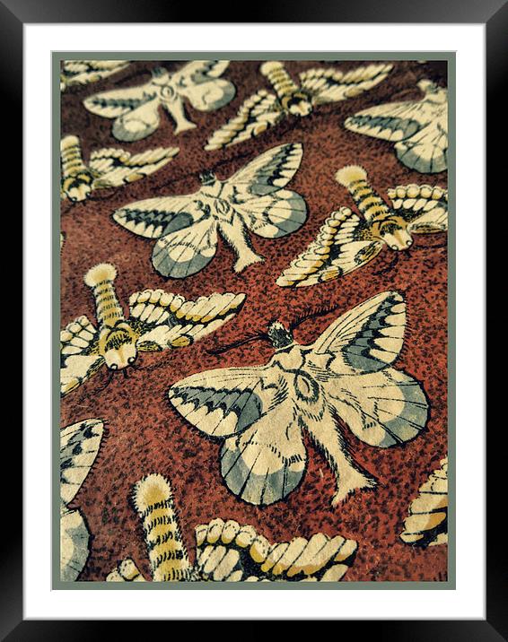 book of moths Framed Mounted Print by Heather Newton