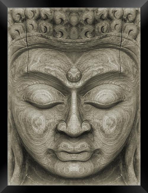 the face of serenity Framed Print by Heather Newton
