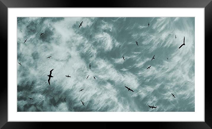  soaring Framed Mounted Print by Heather Newton