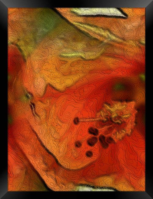 orange flower Framed Print by Heather Newton