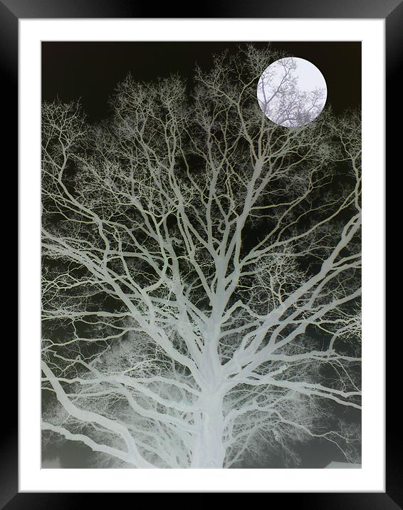 mist and moonlight Framed Mounted Print by Heather Newton