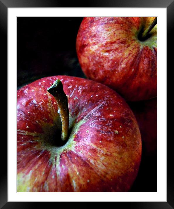 apples Framed Mounted Print by Heather Newton