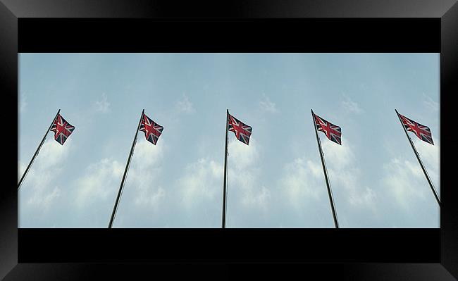 five flags Framed Print by Heather Newton