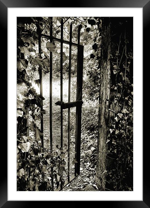the gate Framed Mounted Print by Heather Newton