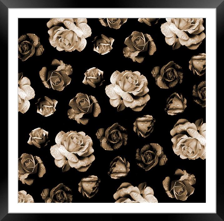 a shower of roses Framed Mounted Print by Heather Newton