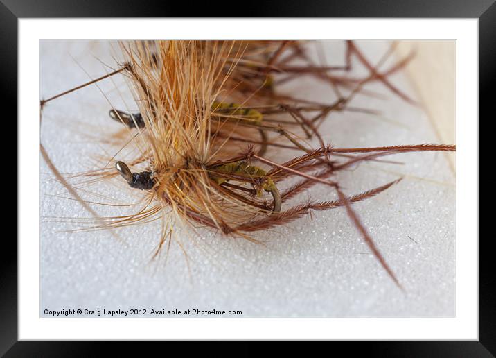 trout fly daddy long legs Framed Mounted Print by Craig Lapsley