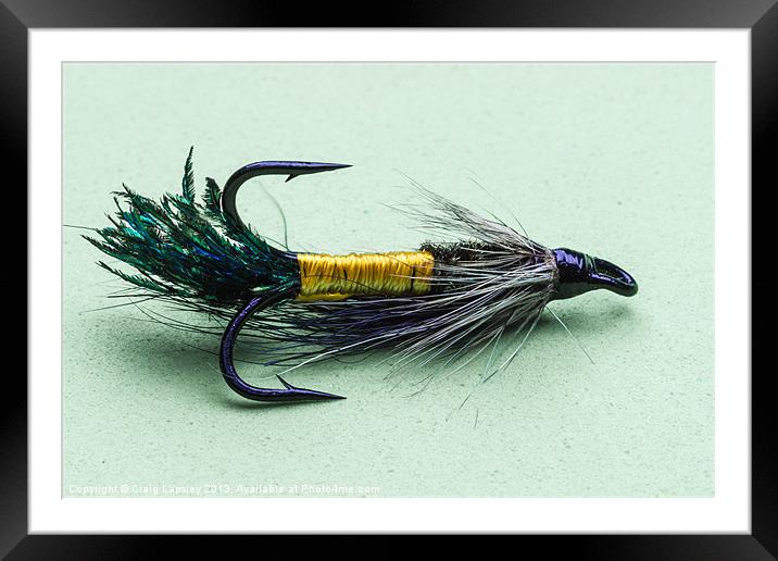 Salmon fly on treble hook Framed Mounted Print by Craig Lapsley