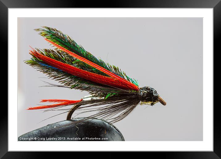 Trout fishing fly Framed Mounted Print by Craig Lapsley
