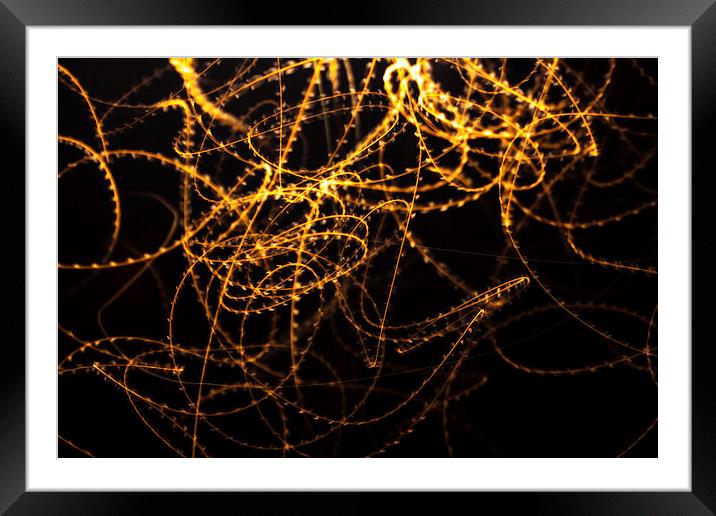 mosquitos in light Framed Mounted Print by Craig Lapsley