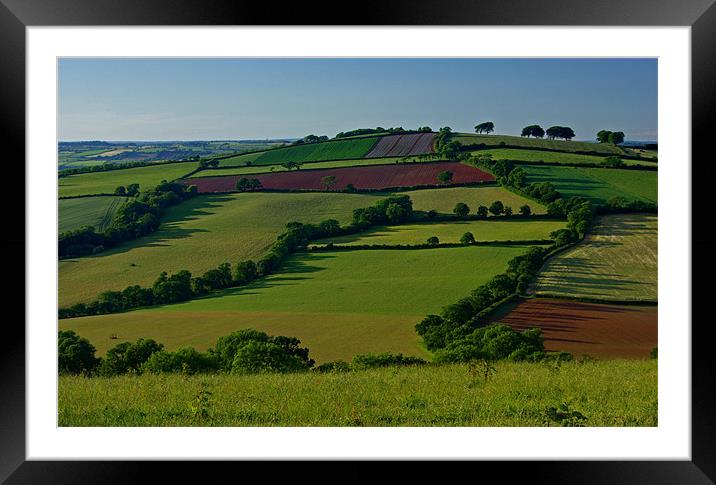 Fields and Hedgerows Framed Mounted Print by Pete Hemington
